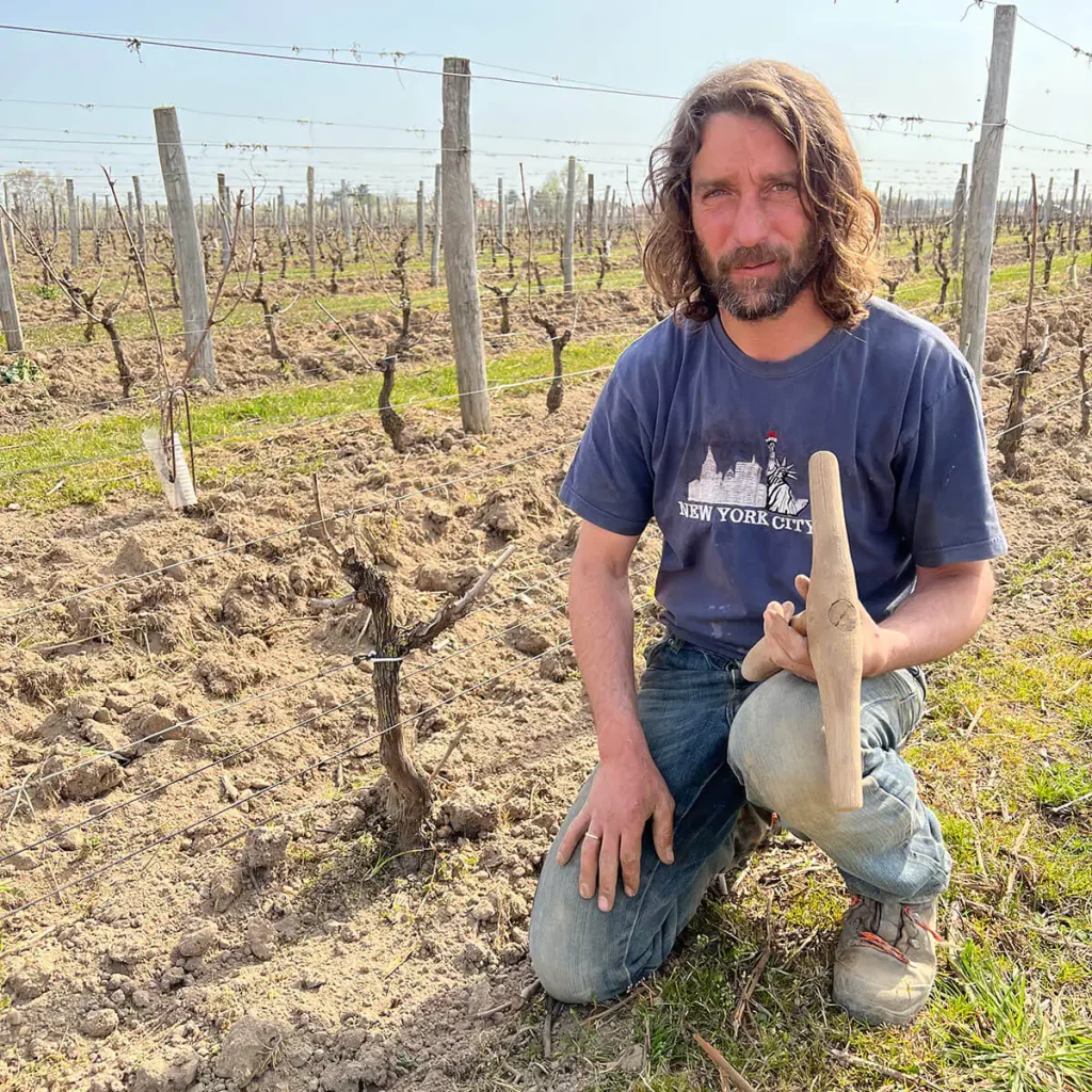 Vignoble du Chant d´Oiseaux