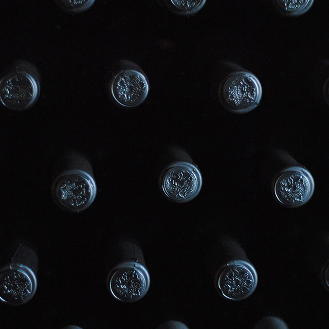 Wine Bottles Cellar