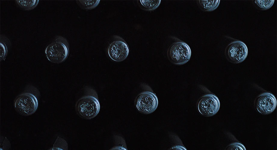 Wine Bottles Cellar